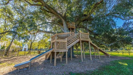 441 Ribbon Road Summerville, SC 29483 - Photo 33 of 37 6The-Ponds-Tree-House