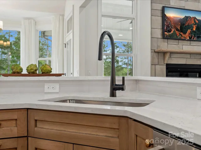 a view of living room with granite countertop a sink a potted plant and cabinets