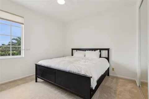 a view of a big yard with palm trees