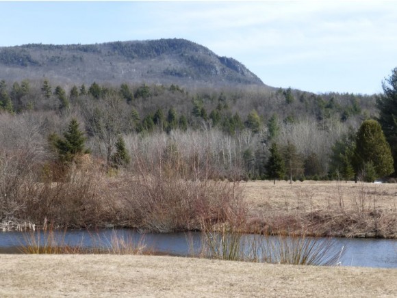 402 Hewitt Road Bristol, VT 05443 - Photo 8 of 36