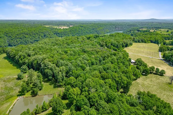 a view of a green field with lots of bushes