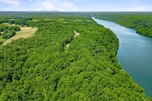 a view of a garden with a lake