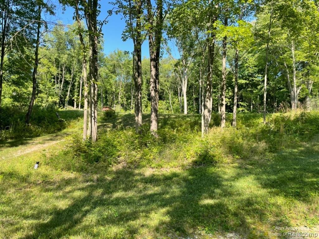 Vl Denton Hills Road Fenton, MI 48430 - Photo 16 of 21