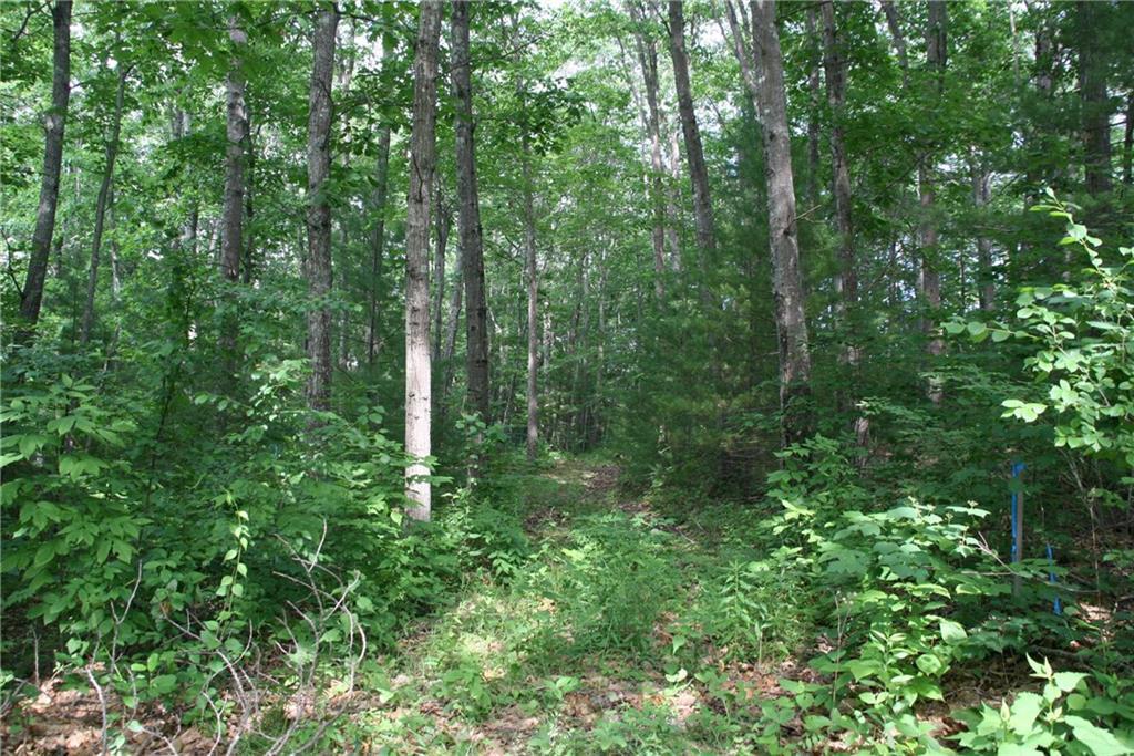 30 Lower Falls Road Falmouth, ME 04105 - Photo 15 of 33 Photo