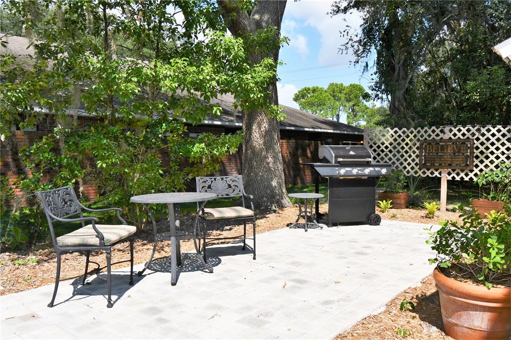 1245 Alexander Street Mount Dora, FL 32757 - Photo 50 of 55 a view of a chairs and table in backyard