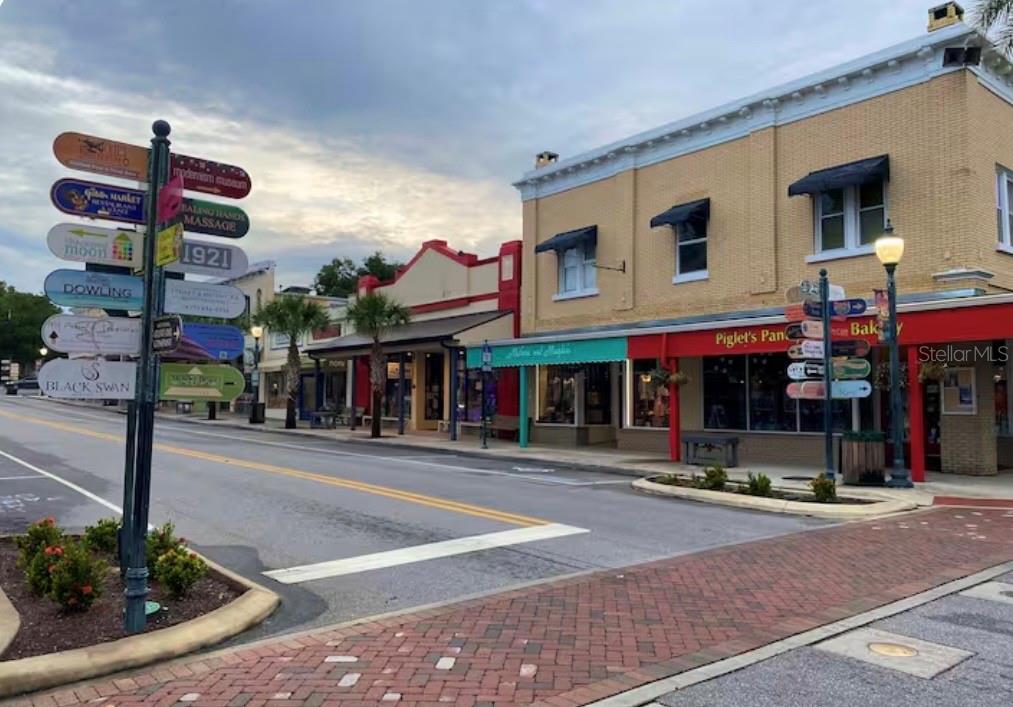 1245 Alexander Street Mount Dora, FL 32757 - Photo 52 of 53