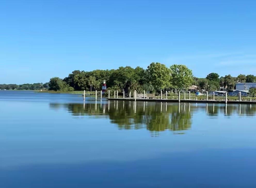 1245 Alexander Street Mount Dora, FL 32757 - Photo 53 of 55 a view of a lake with houses in the background