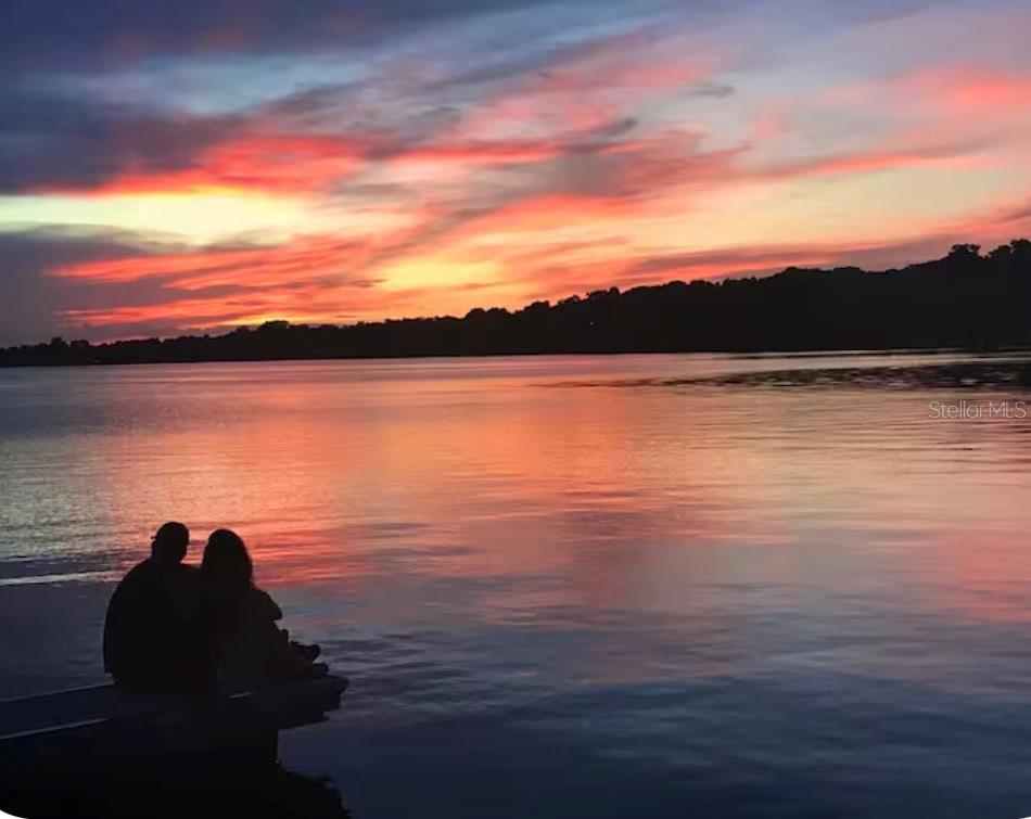 1245 Alexander Street Mount Dora, FL 32757 - Photo 53 of 53