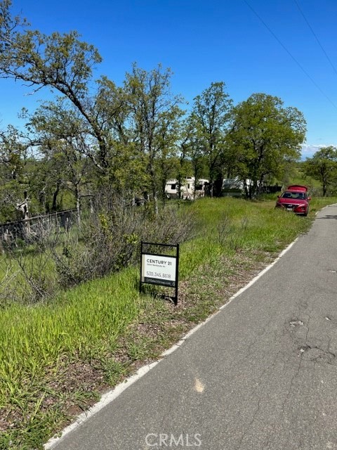 a view of a park with plants and trees