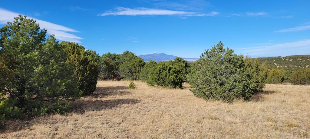 Lot 34 Silver Spur Road Walsenburg, CO 81089 - Photo 42 of 43