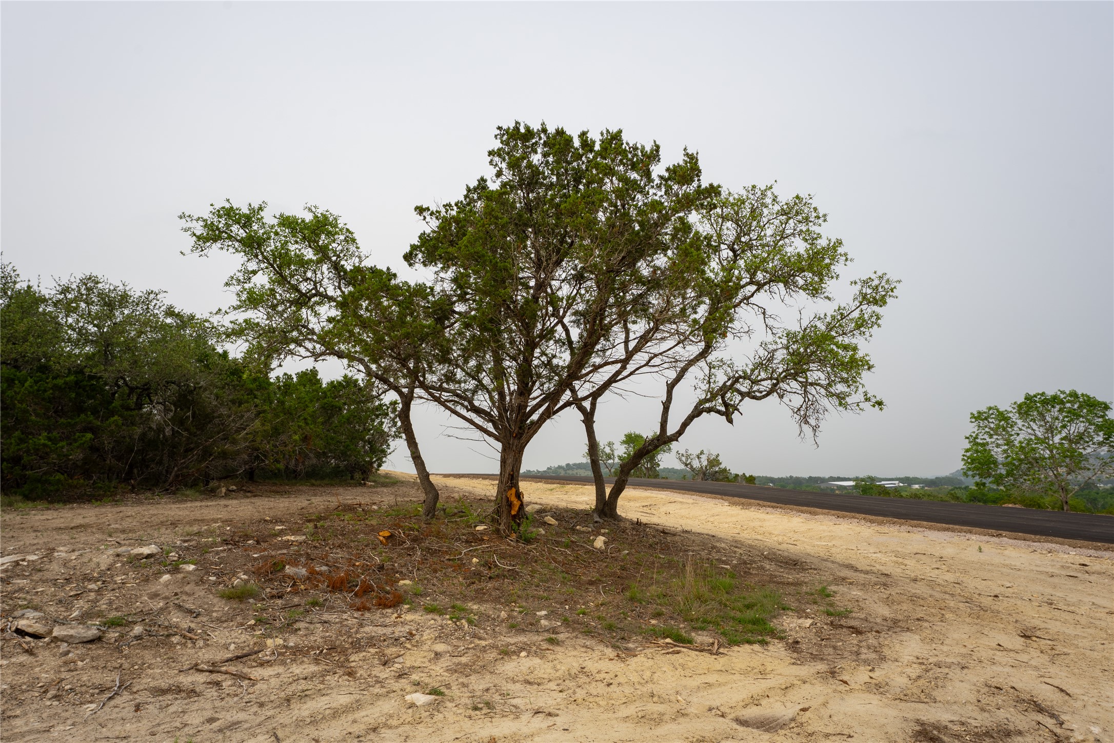 Lot 22 Ranch Road 165 Dripping Springs, TX 78620 - Photo 10 of 11 a view of backyard with green space