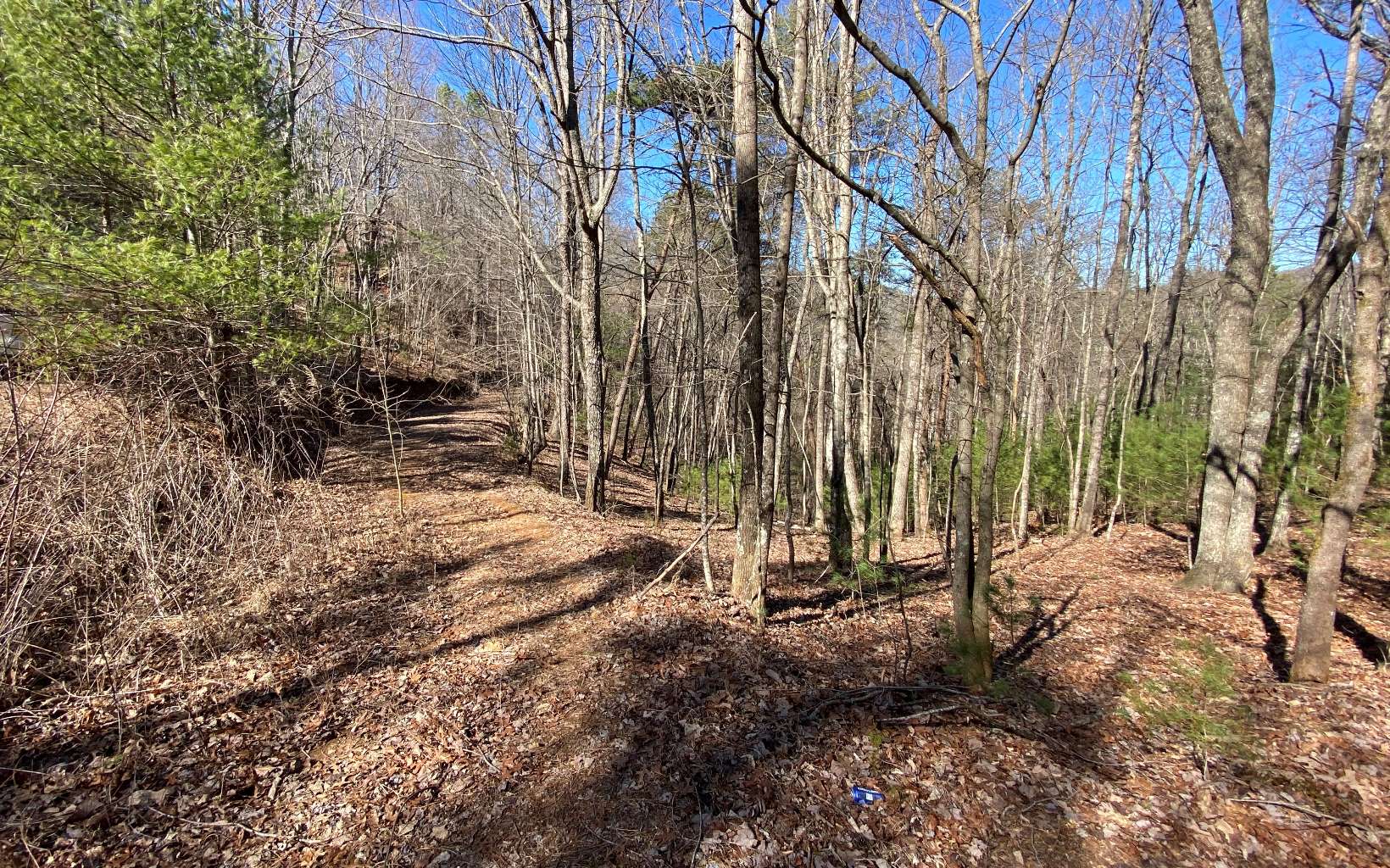 L2-3 My Mountain Road Morganton, GA 30560 - Photo 2 of 4 Additional View