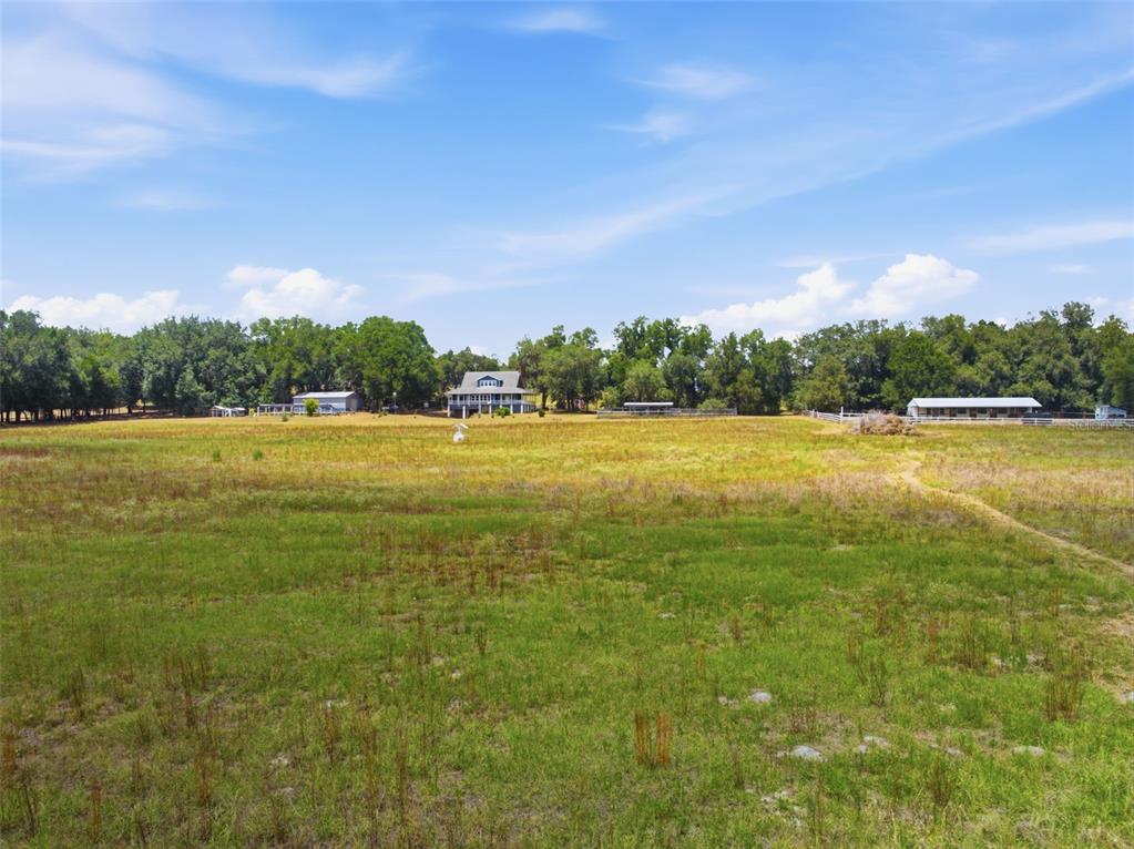 35600 Blanton Road Dade City, FL 33523 - Photo 2 of 95