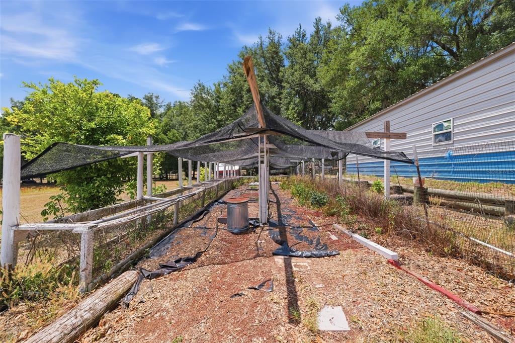 35600 Blanton Road Dade City, FL 33523 - Photo 40 of 95