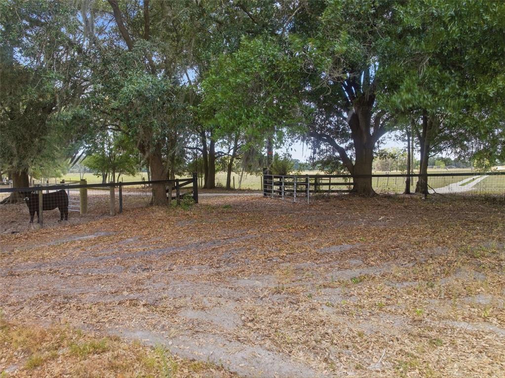35600 Blanton Road Dade City, FL 33523 - Photo 46 of 95