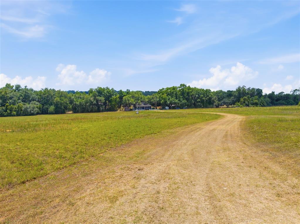 35600 Blanton Road Dade City, FL 33523 - Photo 6 of 95