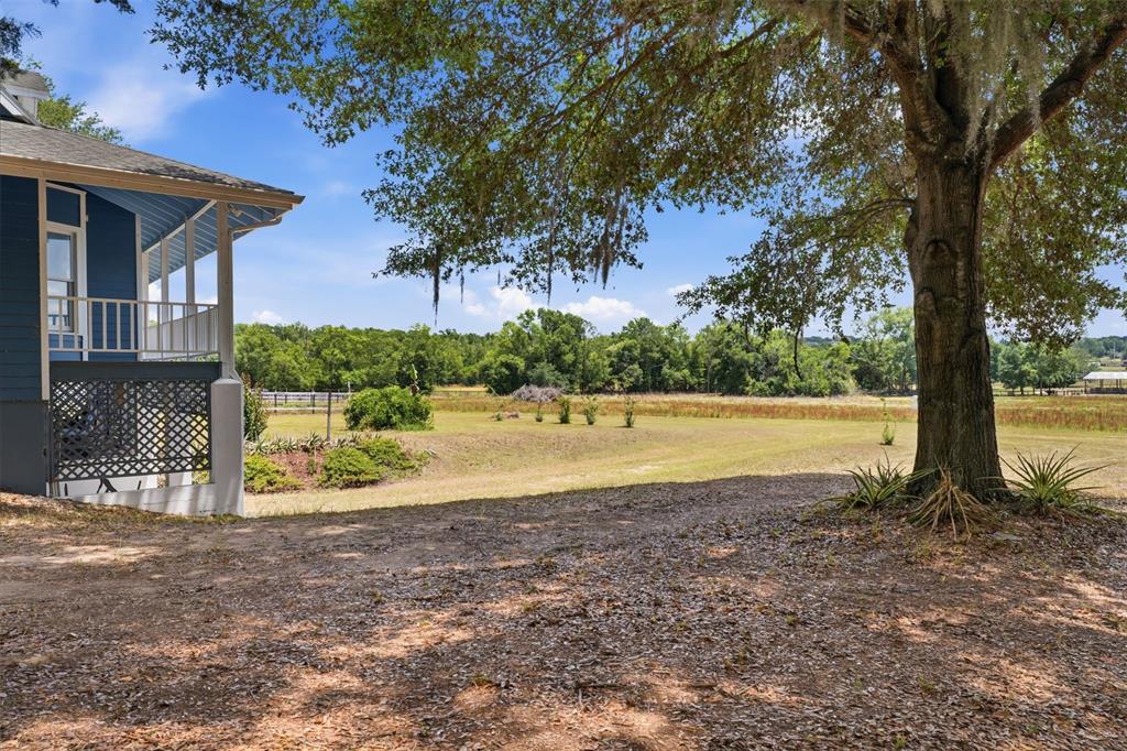 35600 Blanton Road Dade City, FL 33523 - Photo 85 of 95