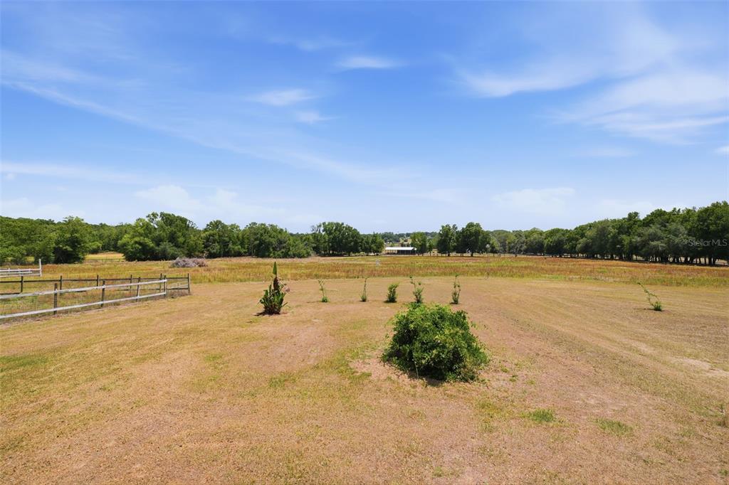 35600 Blanton Road Dade City, FL 33523 - Photo 88 of 95