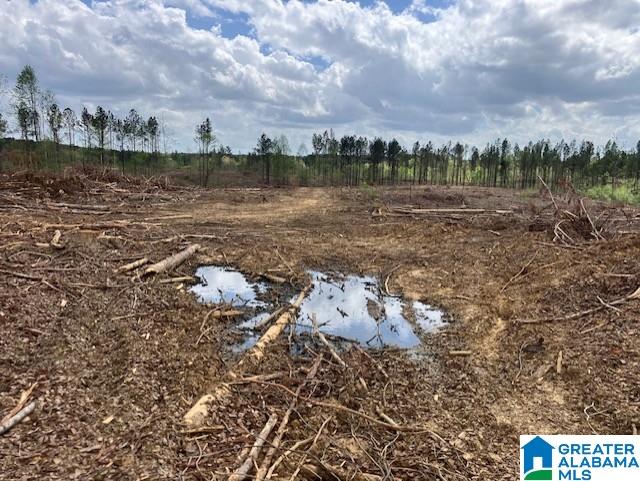 11482 Camp Oliver Road Adger, AL 35006 - Photo 45 of 48