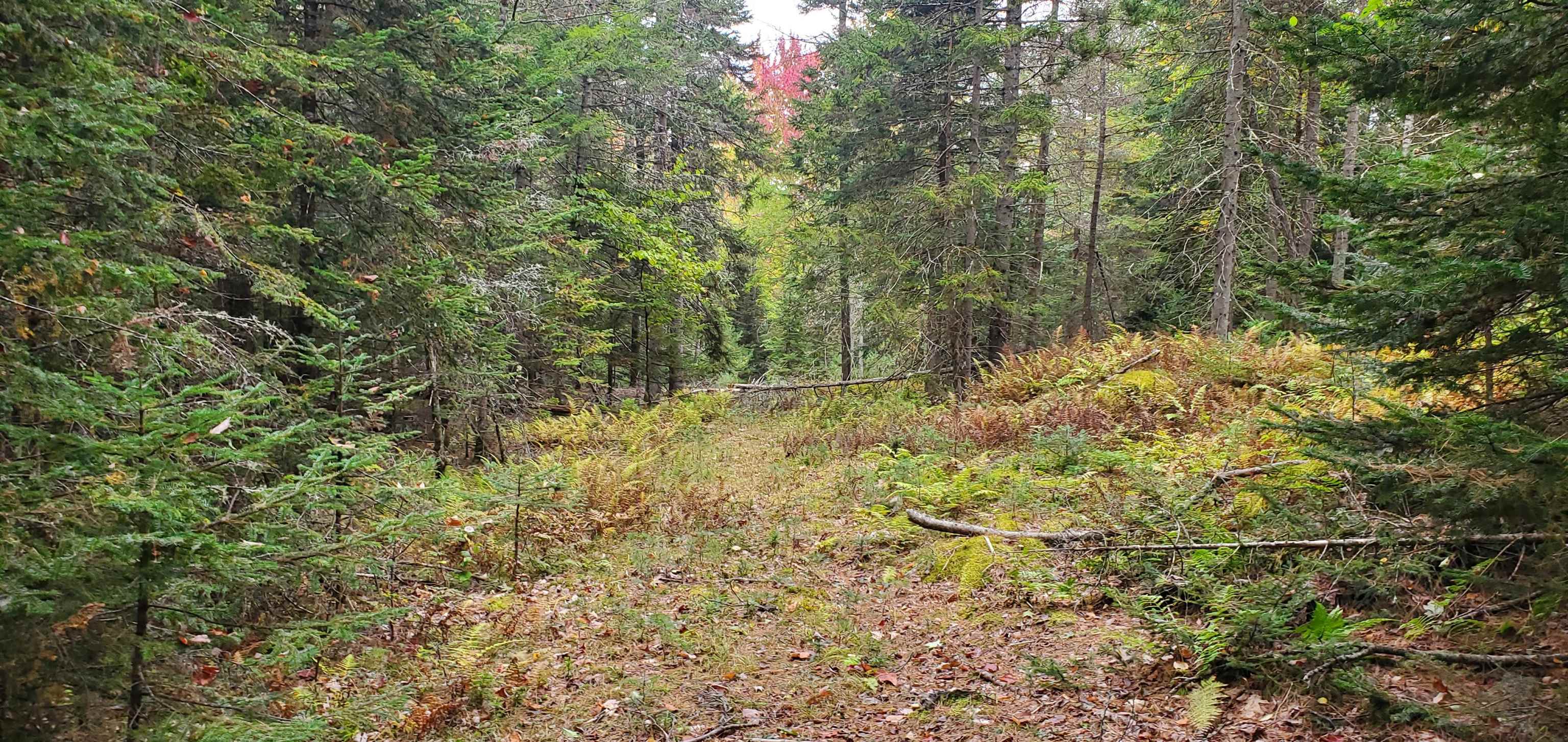 0 Hurd Hill Road Lyman, NH 03585 - Photo 14 of 22 Gallery Image 14