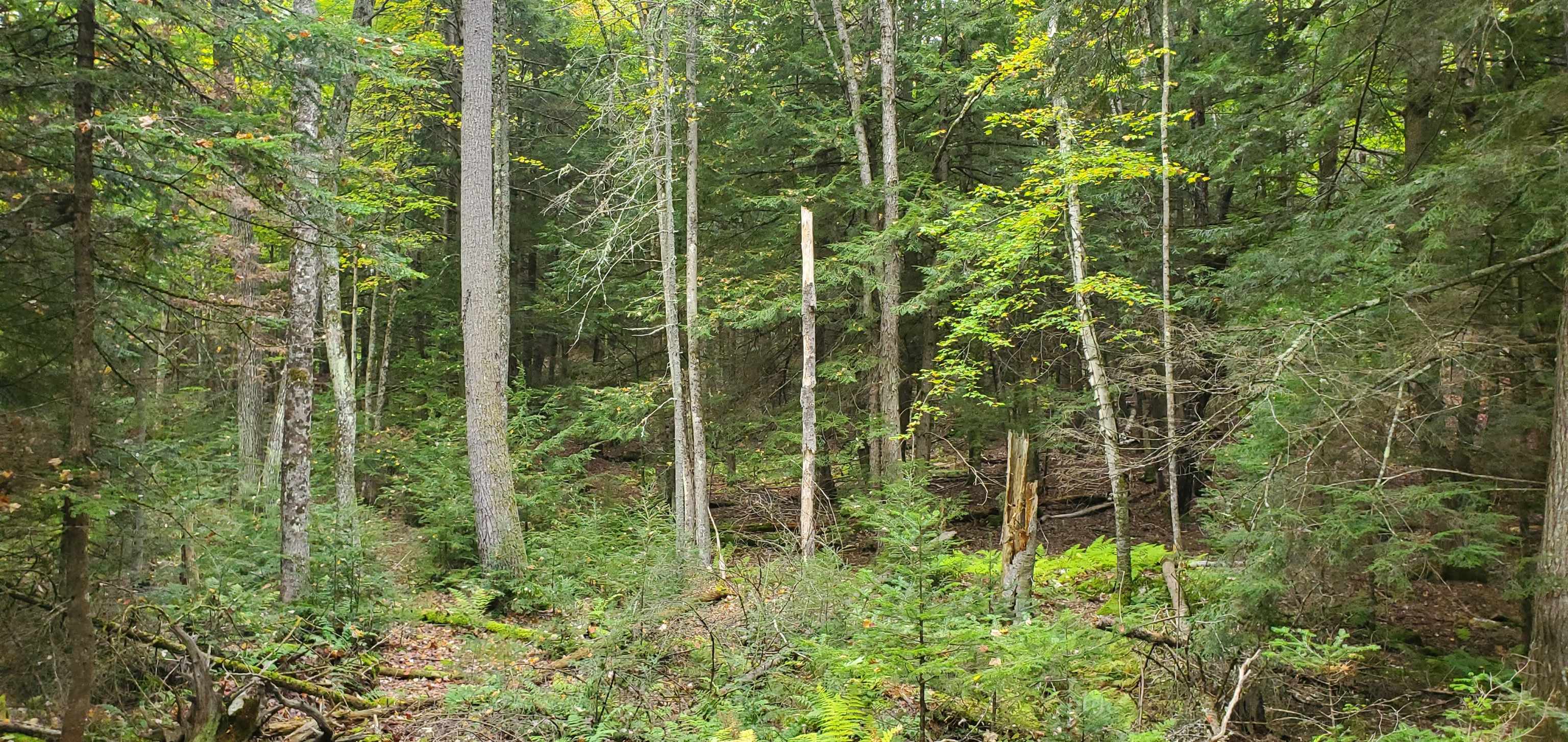 0 Hurd Hill Road Lyman, NH 03585 - Photo 8 of 22 Gallery Image 8
