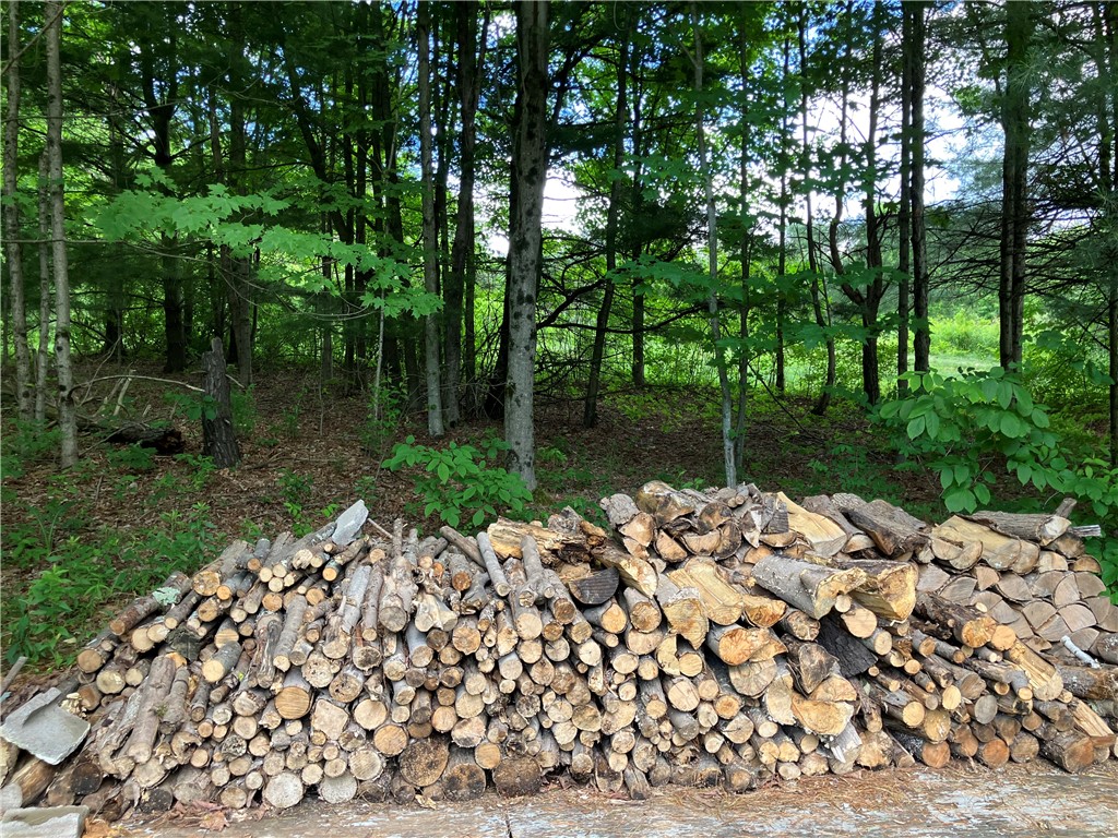 427 Rorick Hollow Road Erin, NY 14861 - Photo 43 of 47