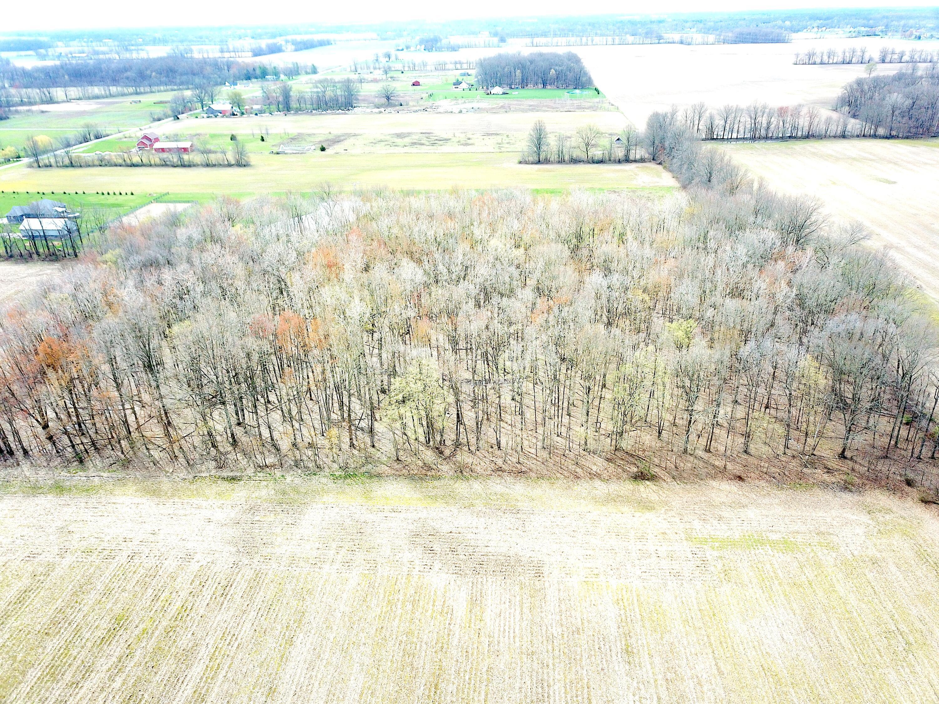 0 Carr Road Ostrander, OH 43061 - Photo 8 of 24 DJI_0983