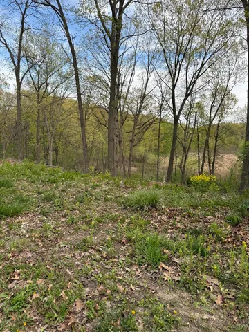 a big yard with lots of green space and plants