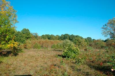 3080 Chabot Road Benton Harbor, MI 49022 - Photo 1 of 3 Primary Photo