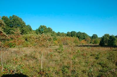 3080 Chabot Road Benton Harbor, MI 49022 - Photo 2 of 3 Additional Photo