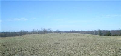 0 Cane Run Road Carlisle, KY 40311 - Photo 2 of 10 Photo 2