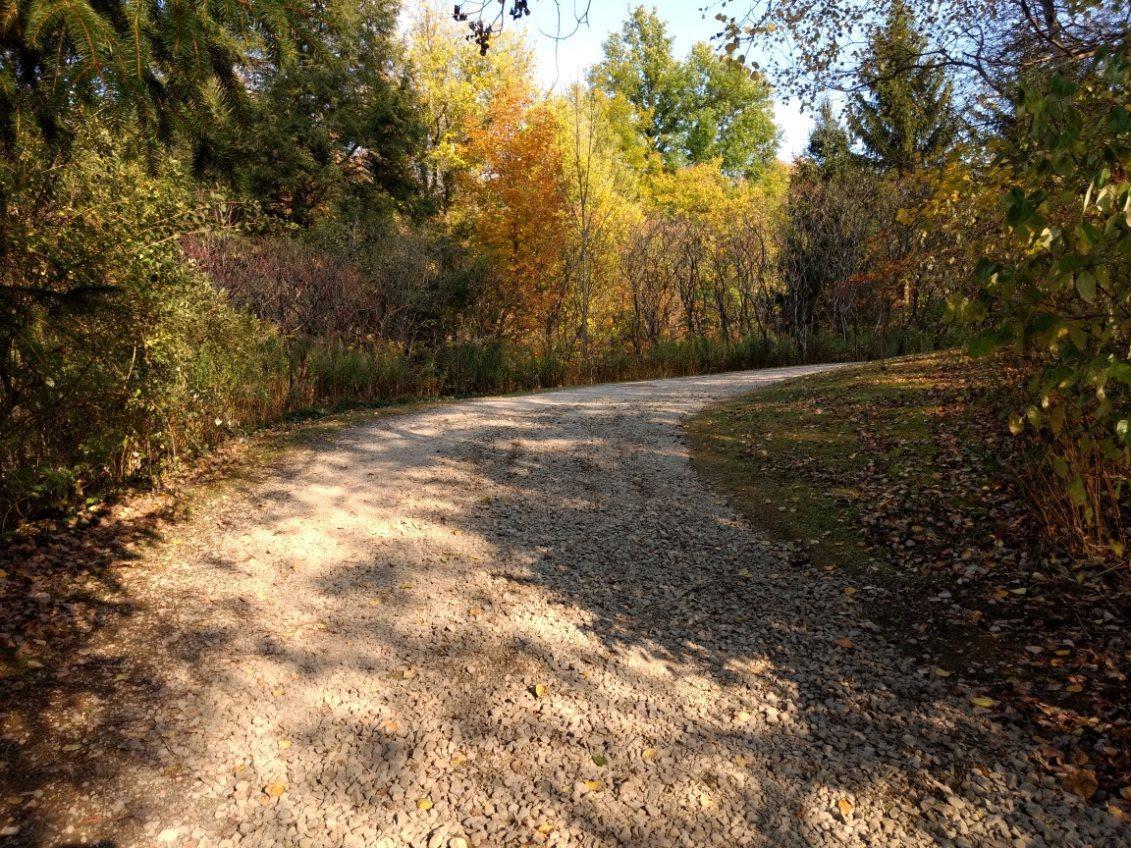 1407 Clark Hollow Road La Fayette, NY 13084 - Photo 41 of 42 Fall driveway access to cottage