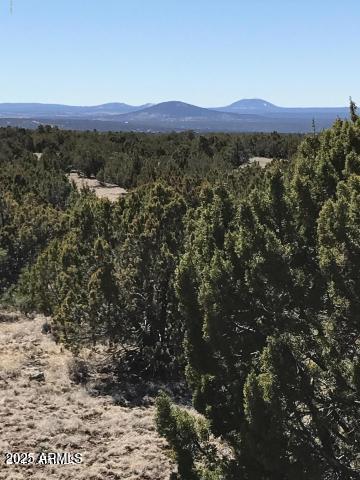 Lot 20 Idlewild Ranch, Unit 20 Concho, AZ 85924 - Photo 6 of 8 6