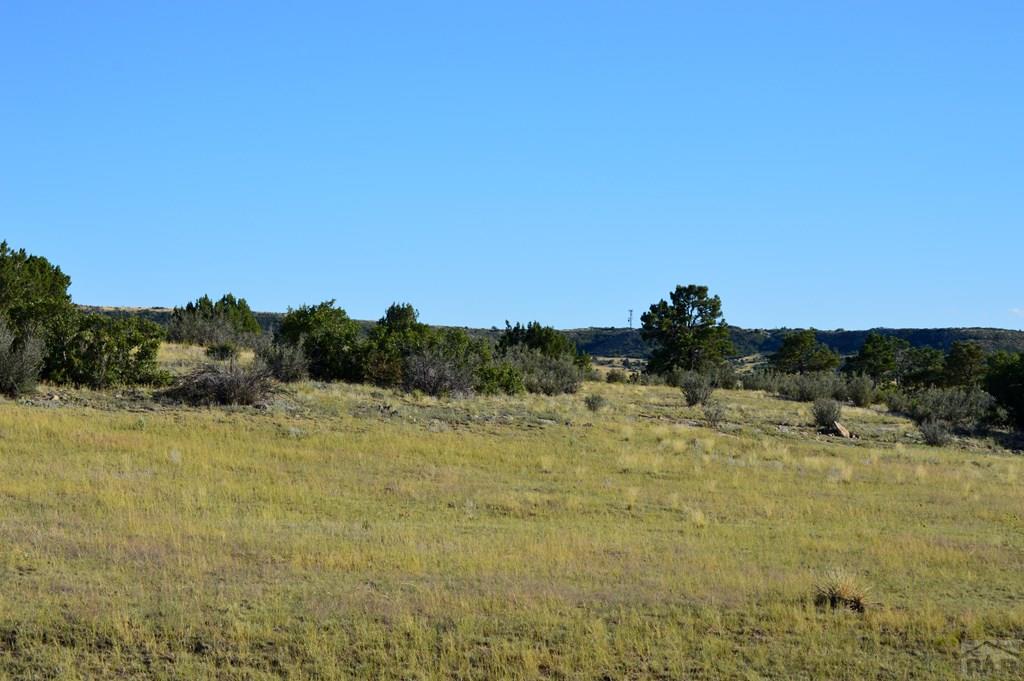 Tbd Tbd Plata Peak Rye, CO 81069 - Photo 6 of 11