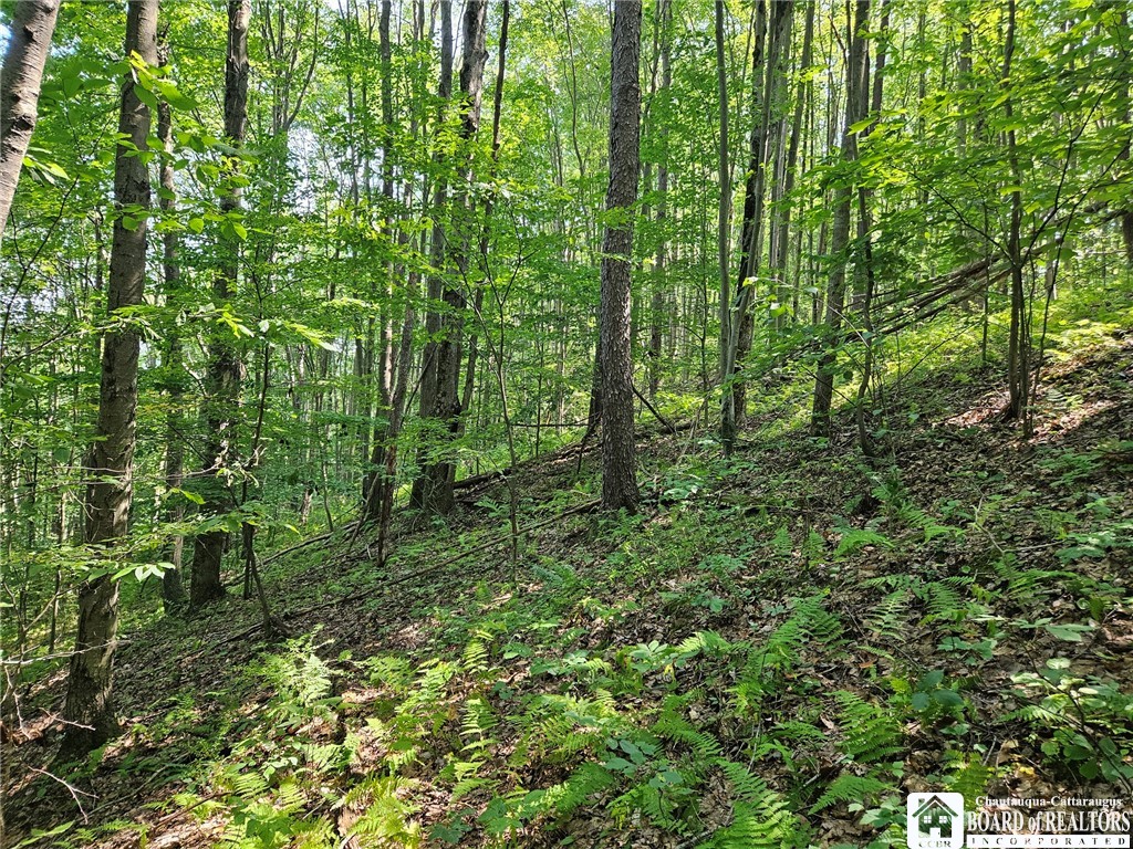 0 Steam Valley Road Olean, NY 14760 - Photo 11 of 20