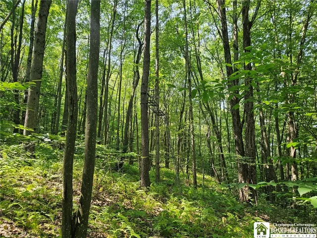 $150,000 | 0 Steam Valley Road, Olean, NY 14760