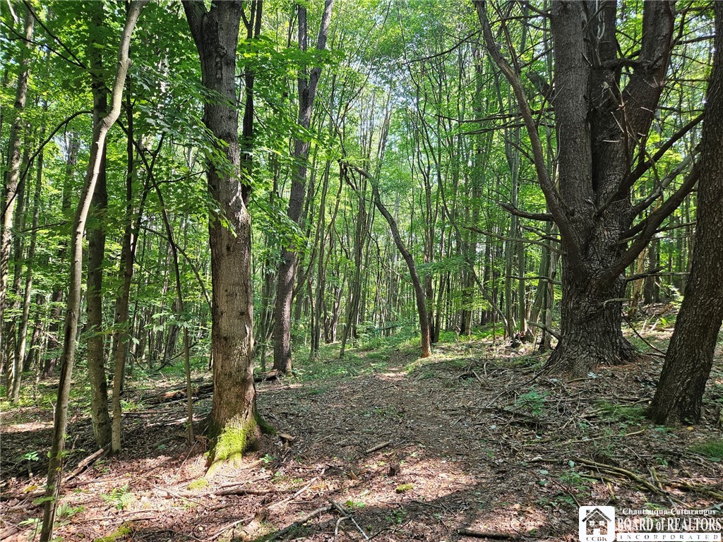 0 Steam Valley Road Olean, NY 14760 - Photo 13 of 20