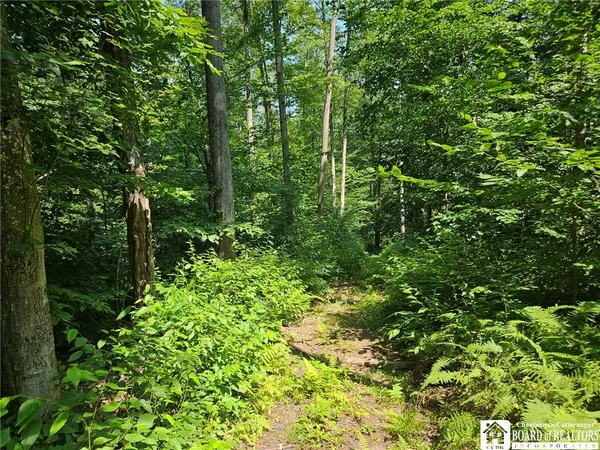 $150,000 | 0 Steam Valley Road, Olean, NY 14760