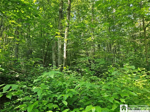 $150,000 | 0 Steam Valley Road, Olean, NY 14760
