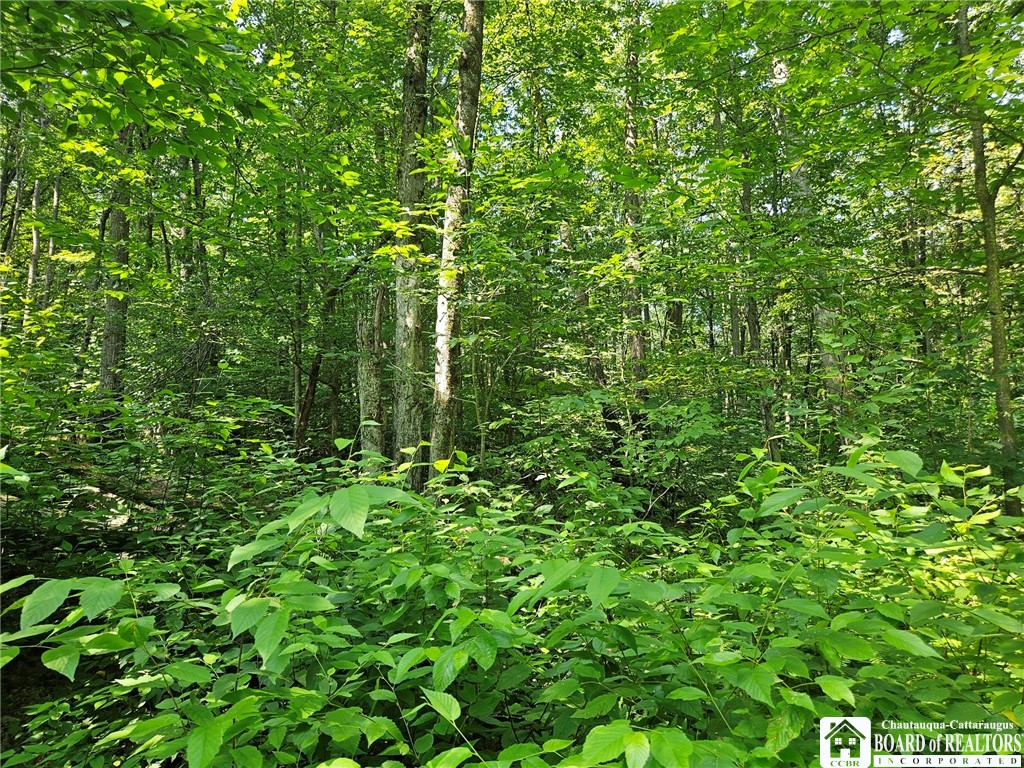 0 Steam Valley Road Olean, NY 14760 - Photo 15 of 20