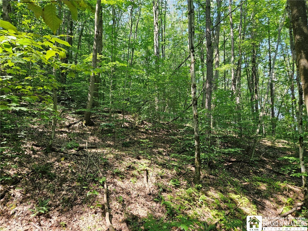 0 Steam Valley Road Olean, NY 14760 - Photo 16 of 20