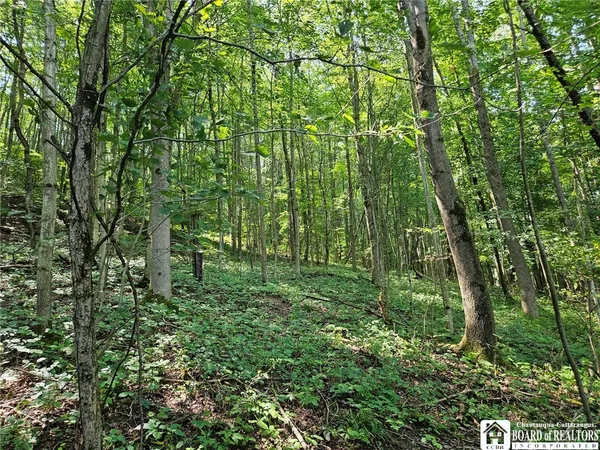 $150,000 | 0 Steam Valley Road, Olean, NY 14760