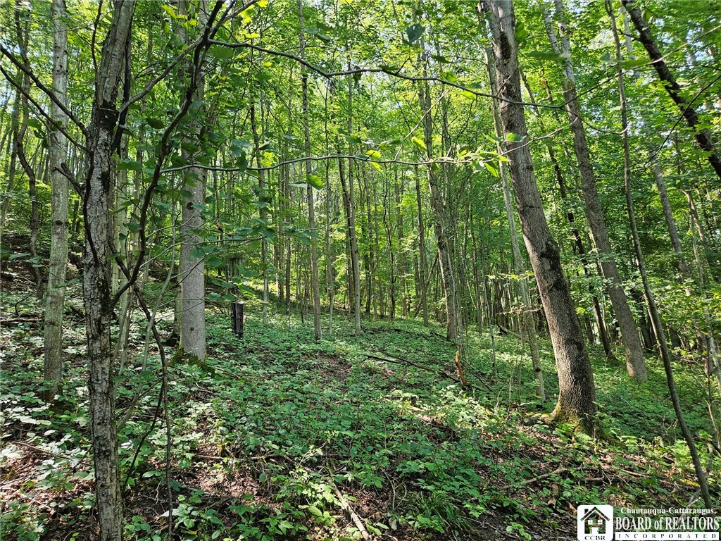 0 Steam Valley Road Olean, NY 14760 - Photo 17 of 20