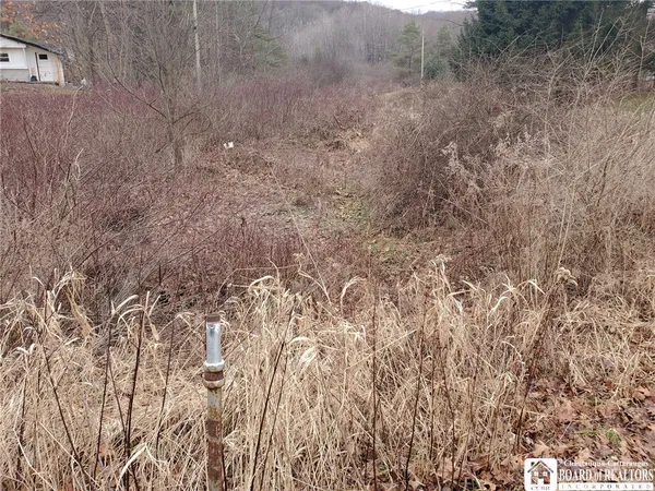 $150,000 | 0 Steam Valley Road, Olean, NY 14760