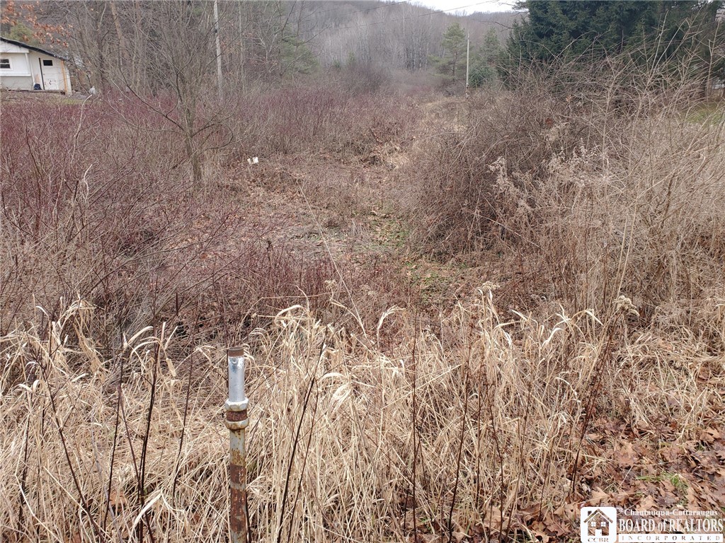 0 Steam Valley Road Olean, NY 14760 - Photo 19 of 20