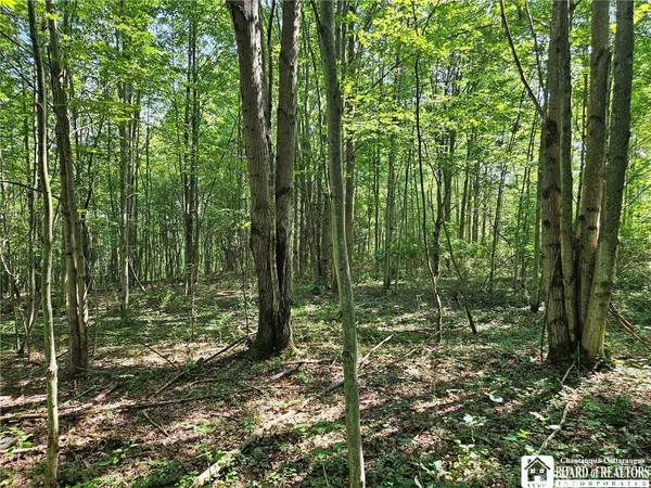 $150,000 | 0 Steam Valley Road, Olean, NY 14760