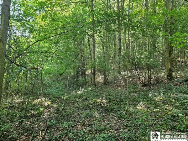 $150,000 | 0 Steam Valley Road, Olean, NY 14760