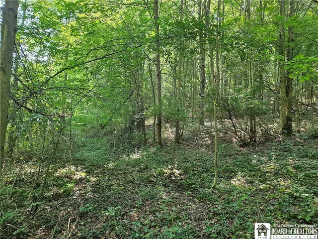 $150,000 | 0 Steam Valley Road, Olean, NY 14760