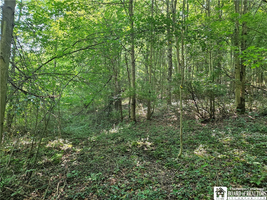 0 Steam Valley Road Olean, NY 14760 - Photo 8 of 20