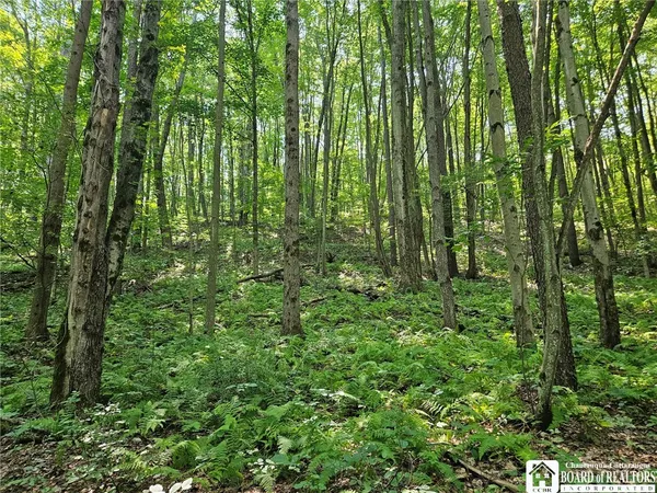 $150,000 | 0 Steam Valley Road, Olean, NY 14760